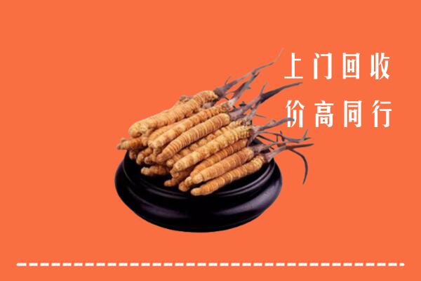 高价求购：沈阳新民回收散虫草