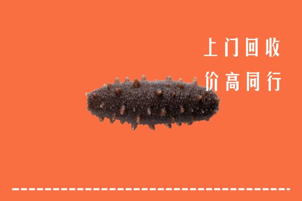 高价求购：沈阳新民回收海参