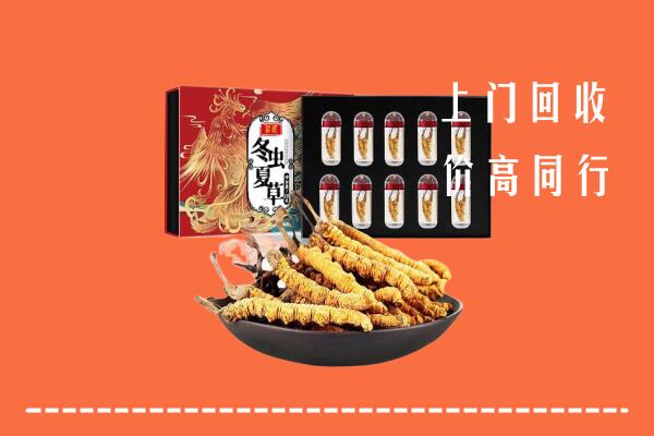 沈阳新民回收虫草